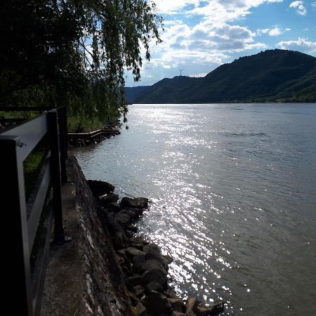 Villa Dedin Raj à Golubac Extérieur photo