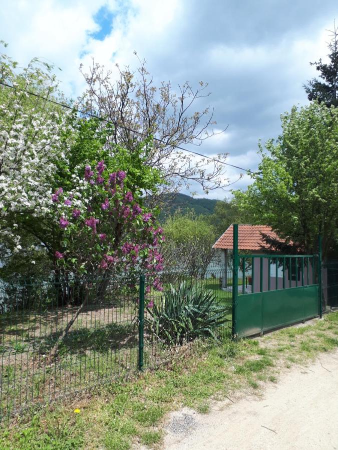 Villa Dedin Raj à Golubac Extérieur photo