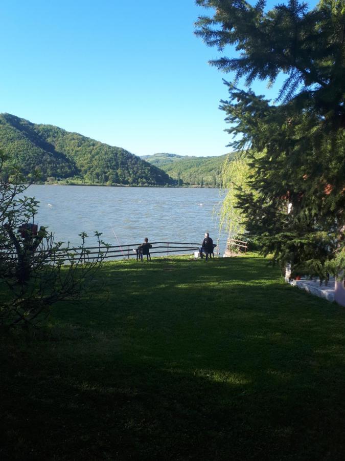 Villa Dedin Raj à Golubac Extérieur photo