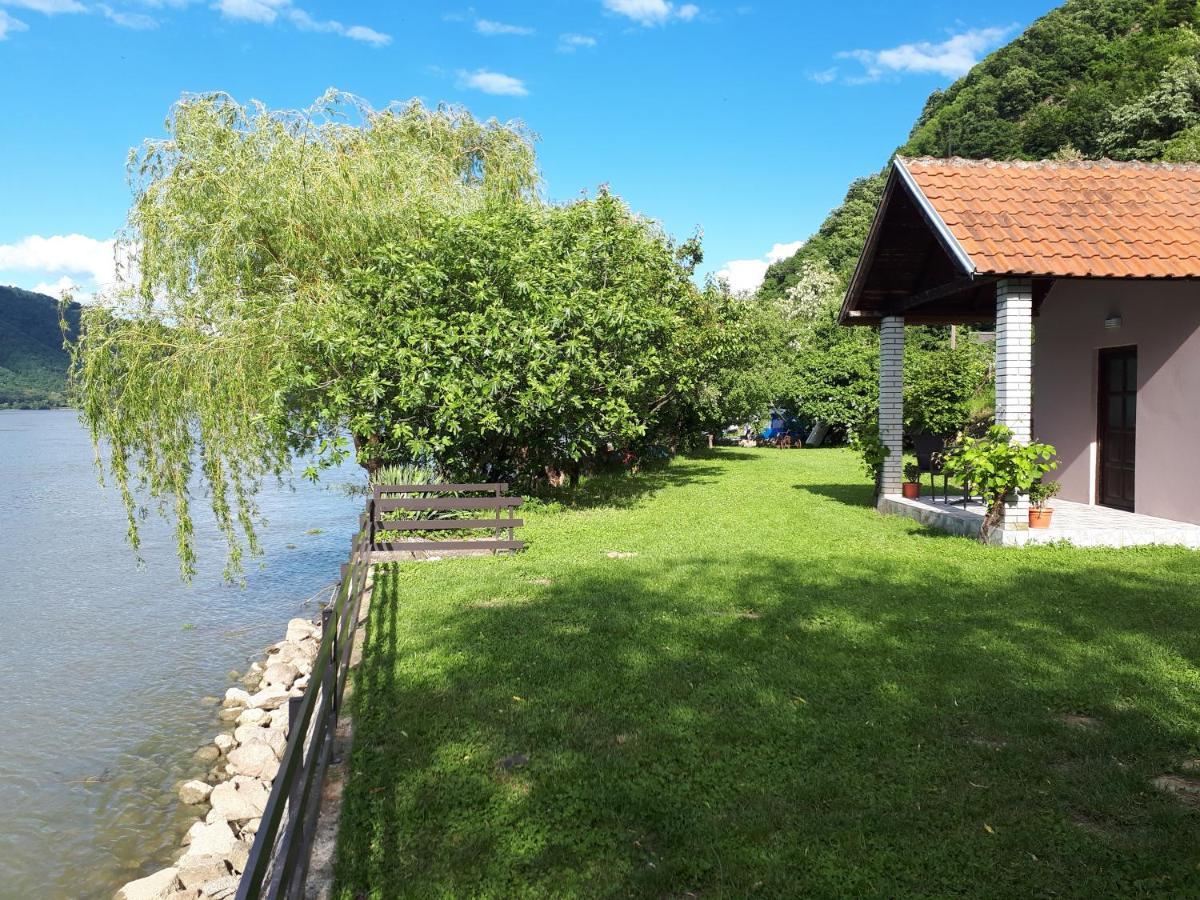 Villa Dedin Raj à Golubac Extérieur photo
